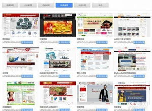 大泉州地區(qū)網(wǎng)站建設(shè)與網(wǎng)店開設(shè) 5000+成功案例，助力企業(yè)數(shù)字化升級(jí)